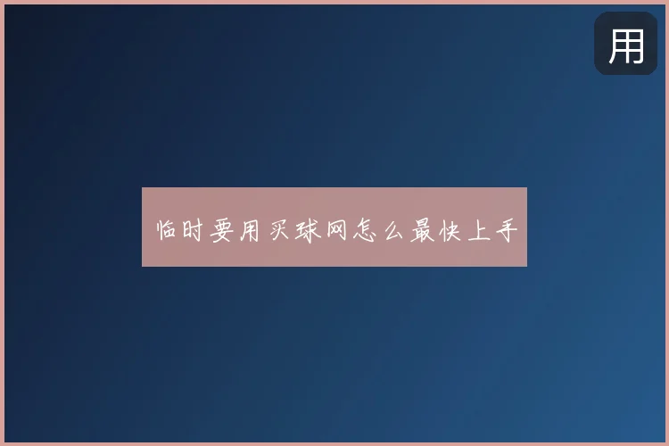 临时要用买球网怎么最快上手